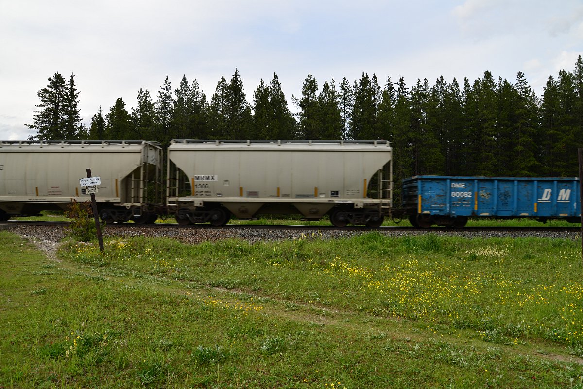 DSC_3015.JPG