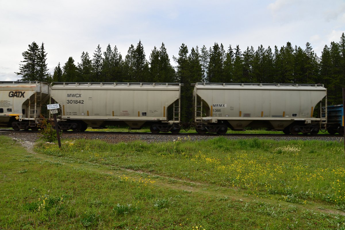 DSC_3016.JPG
