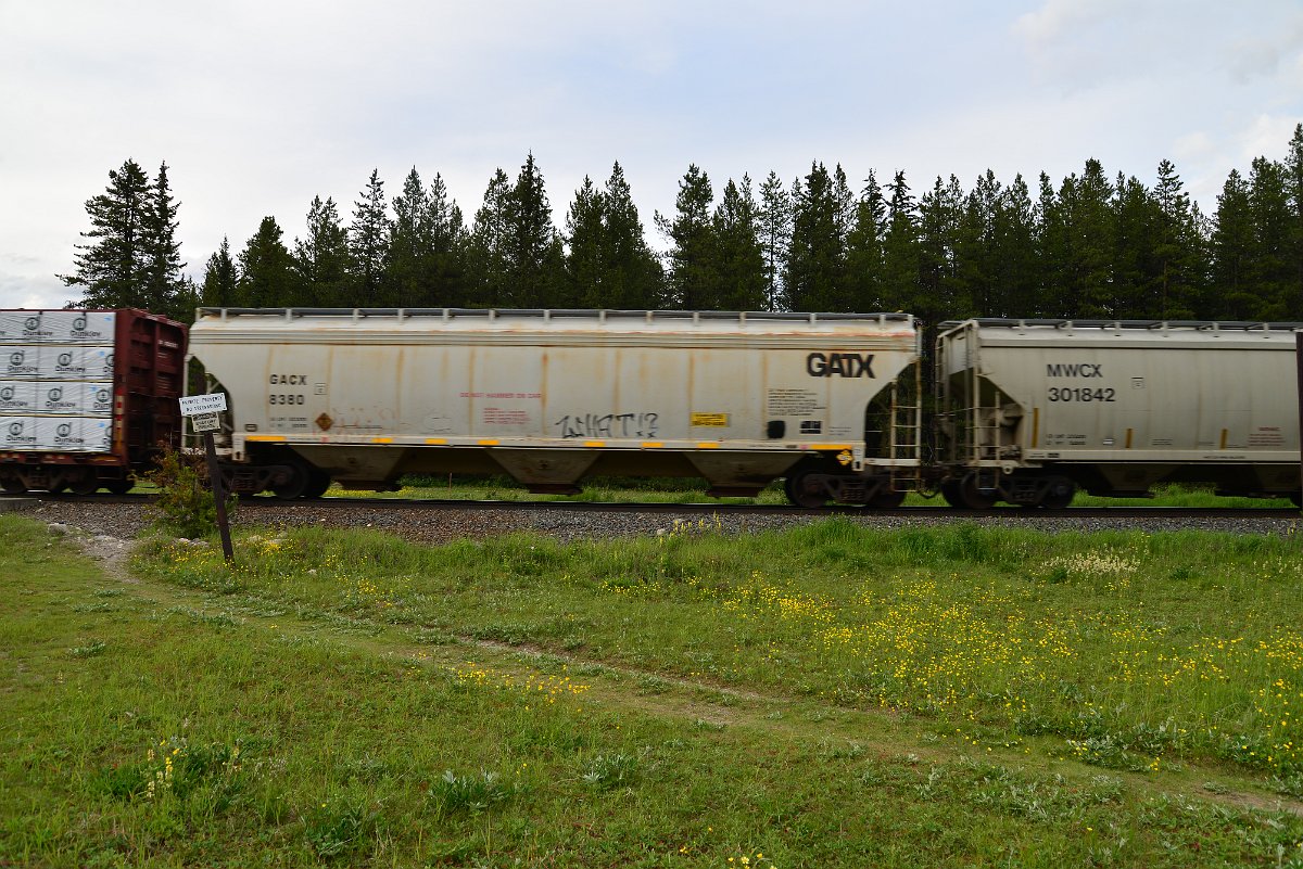 DSC_3017.JPG