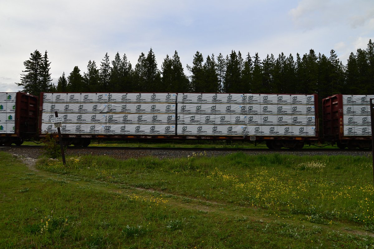 DSC_3019.JPG