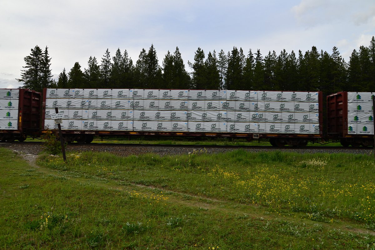 DSC_3021.JPG