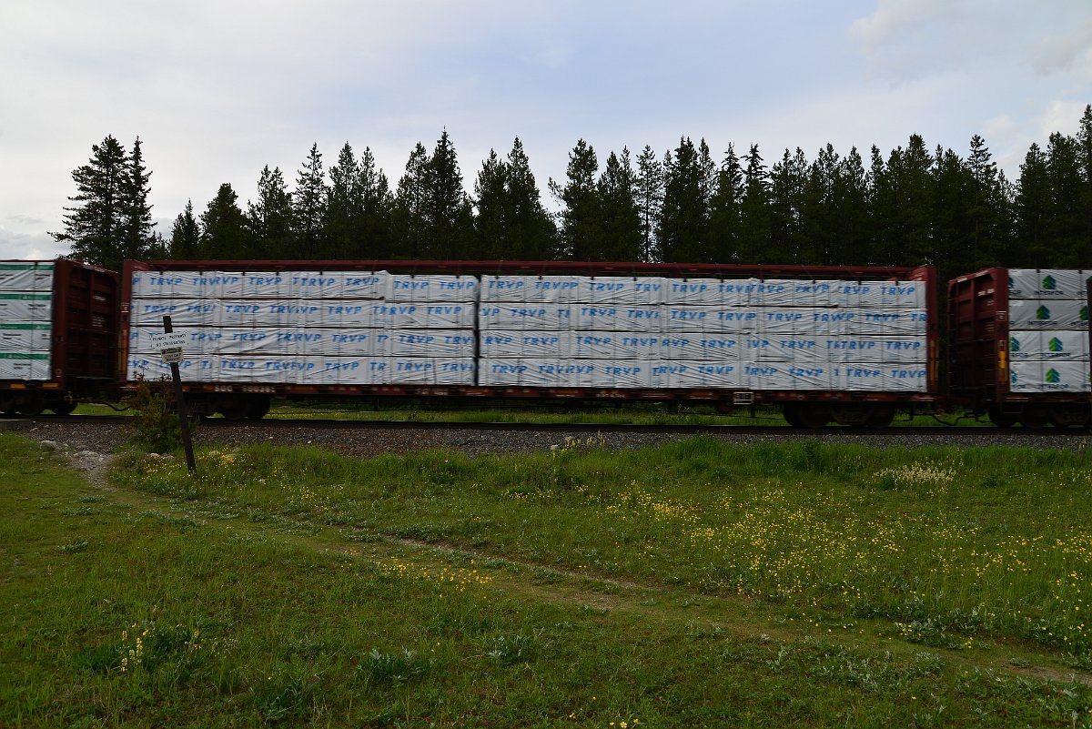 DSC_3023.JPG