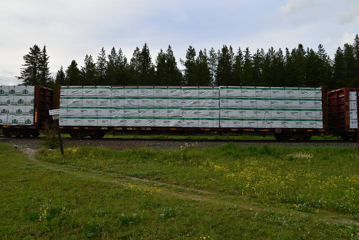 DSC_3024.JPG
