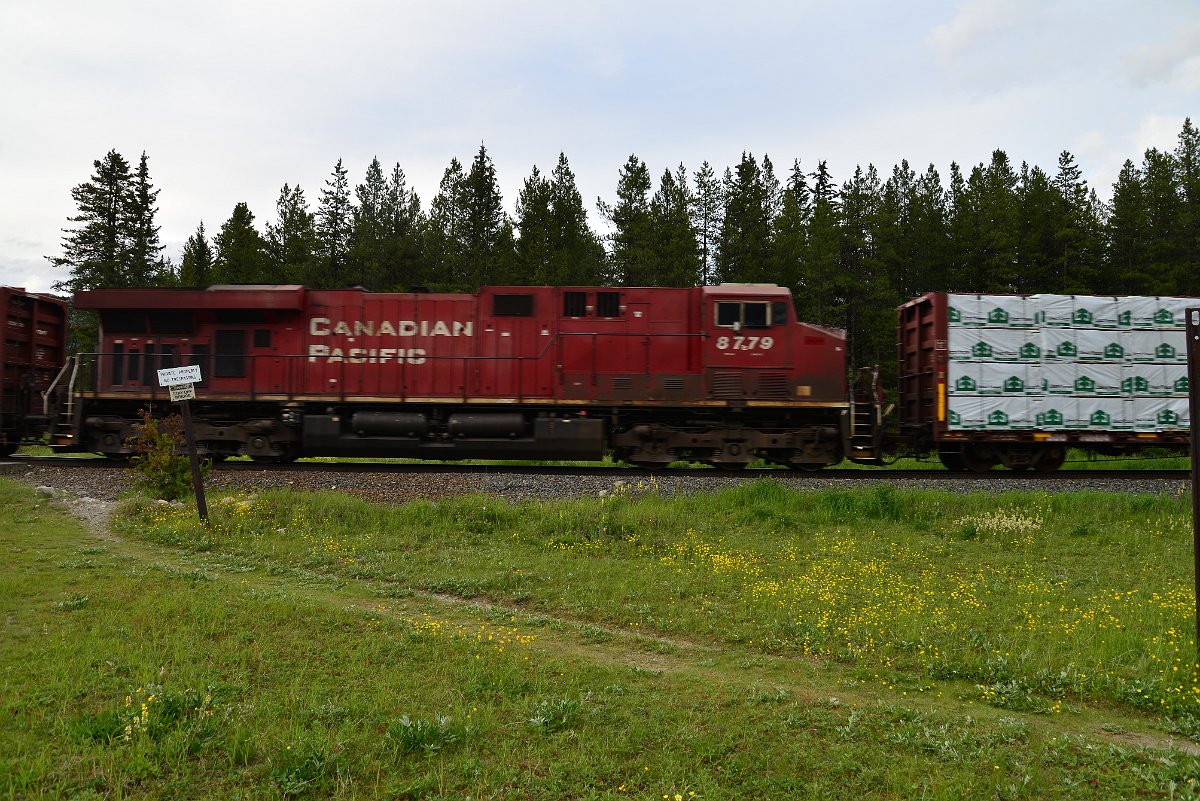 DSC_3026.JPG