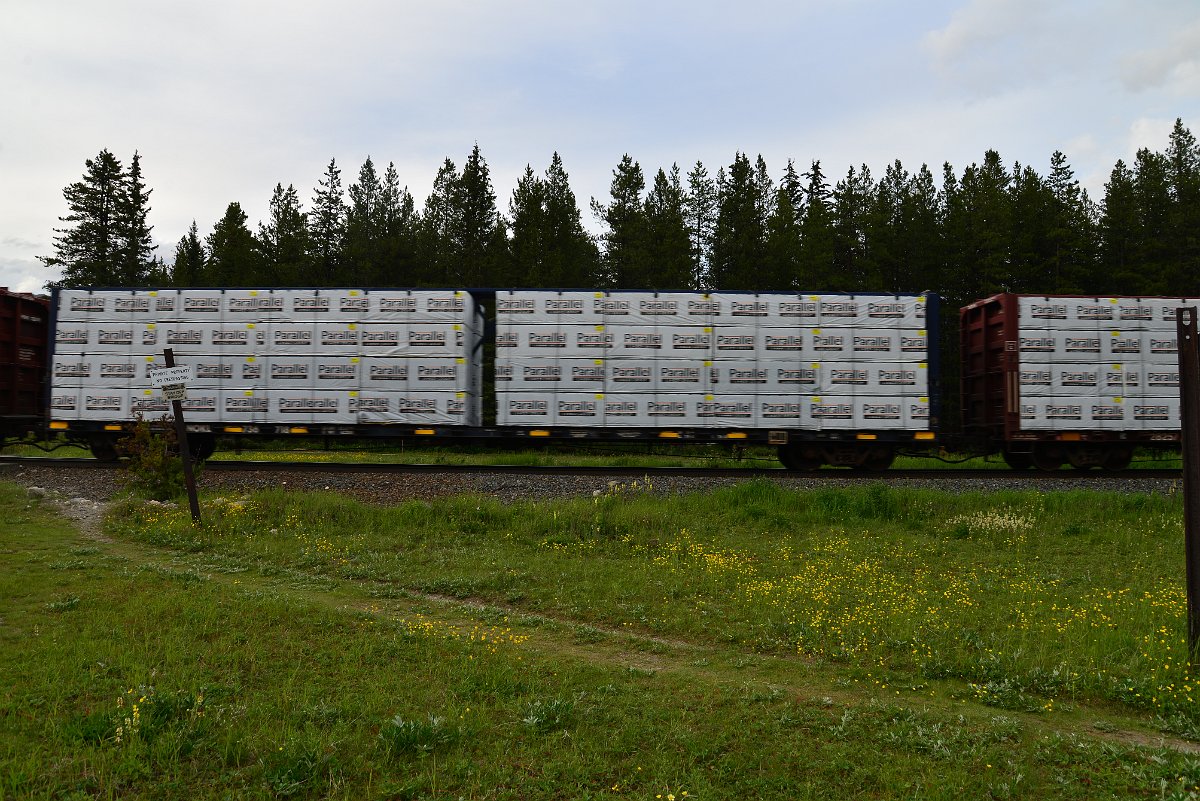 DSC_3031.JPG