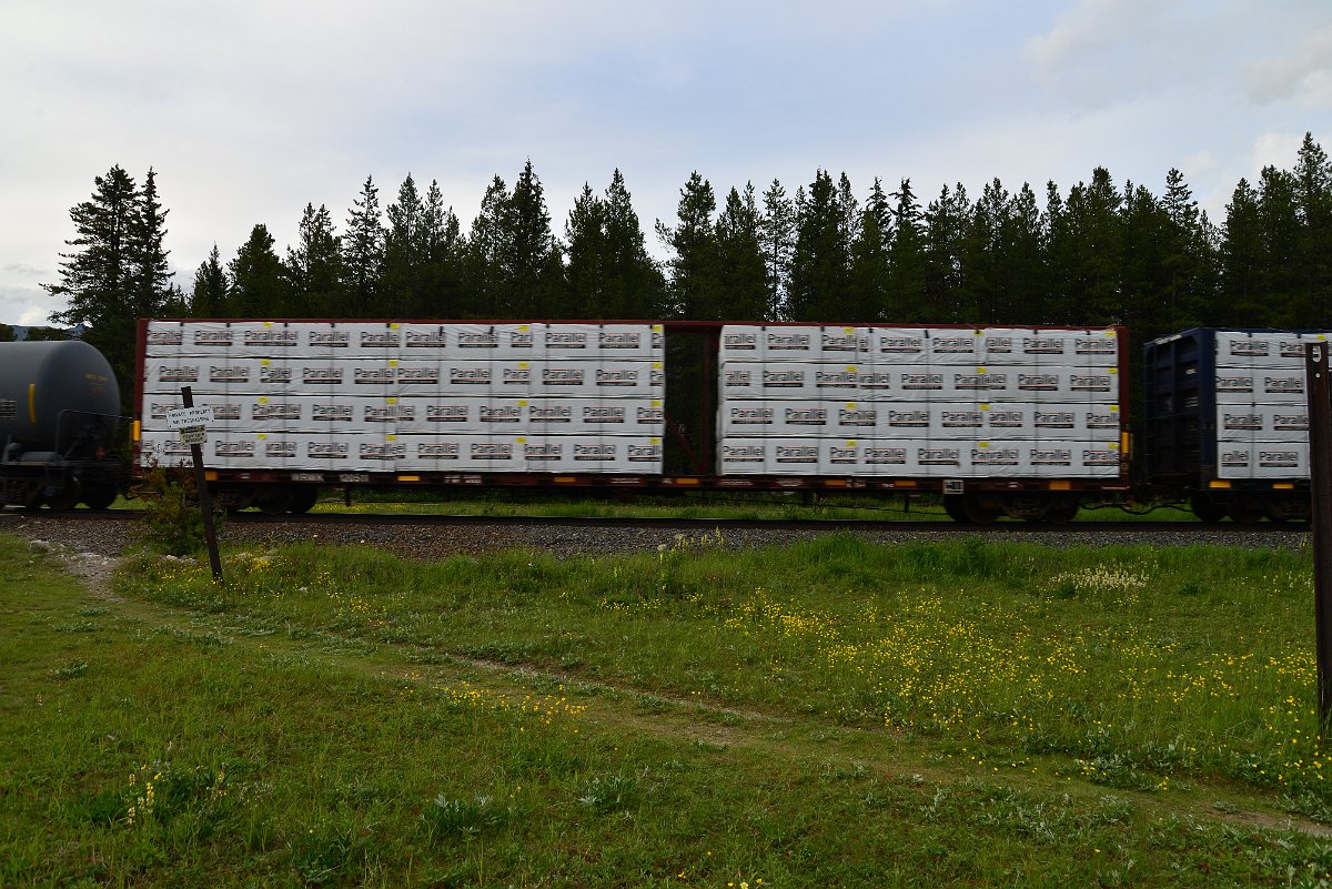 DSC_3032.JPG