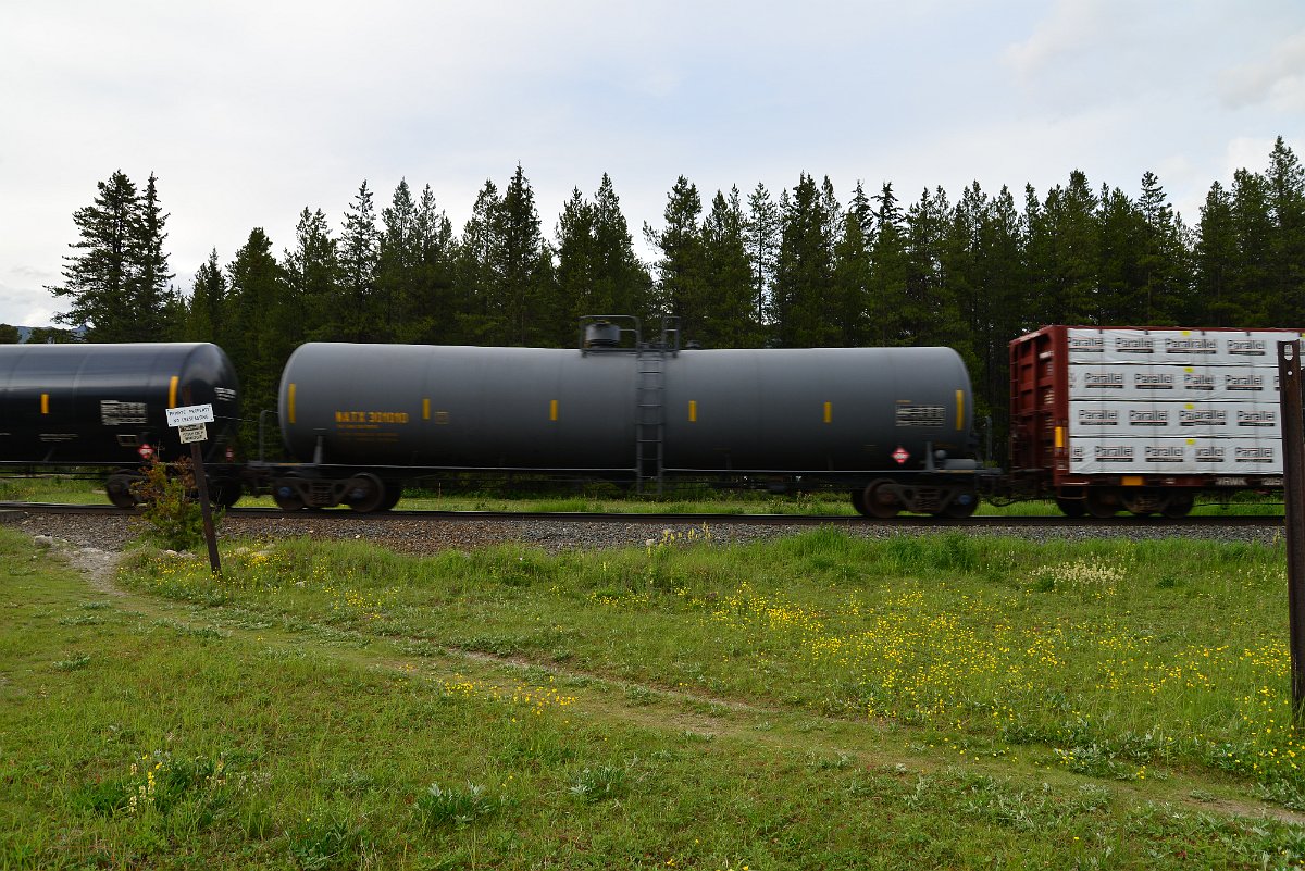 DSC_3033.JPG
