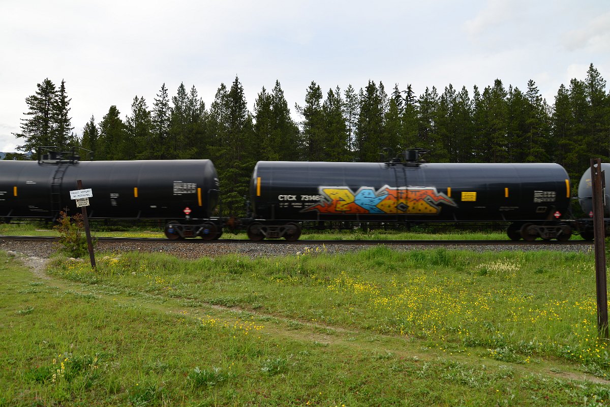 DSC_3034.JPG