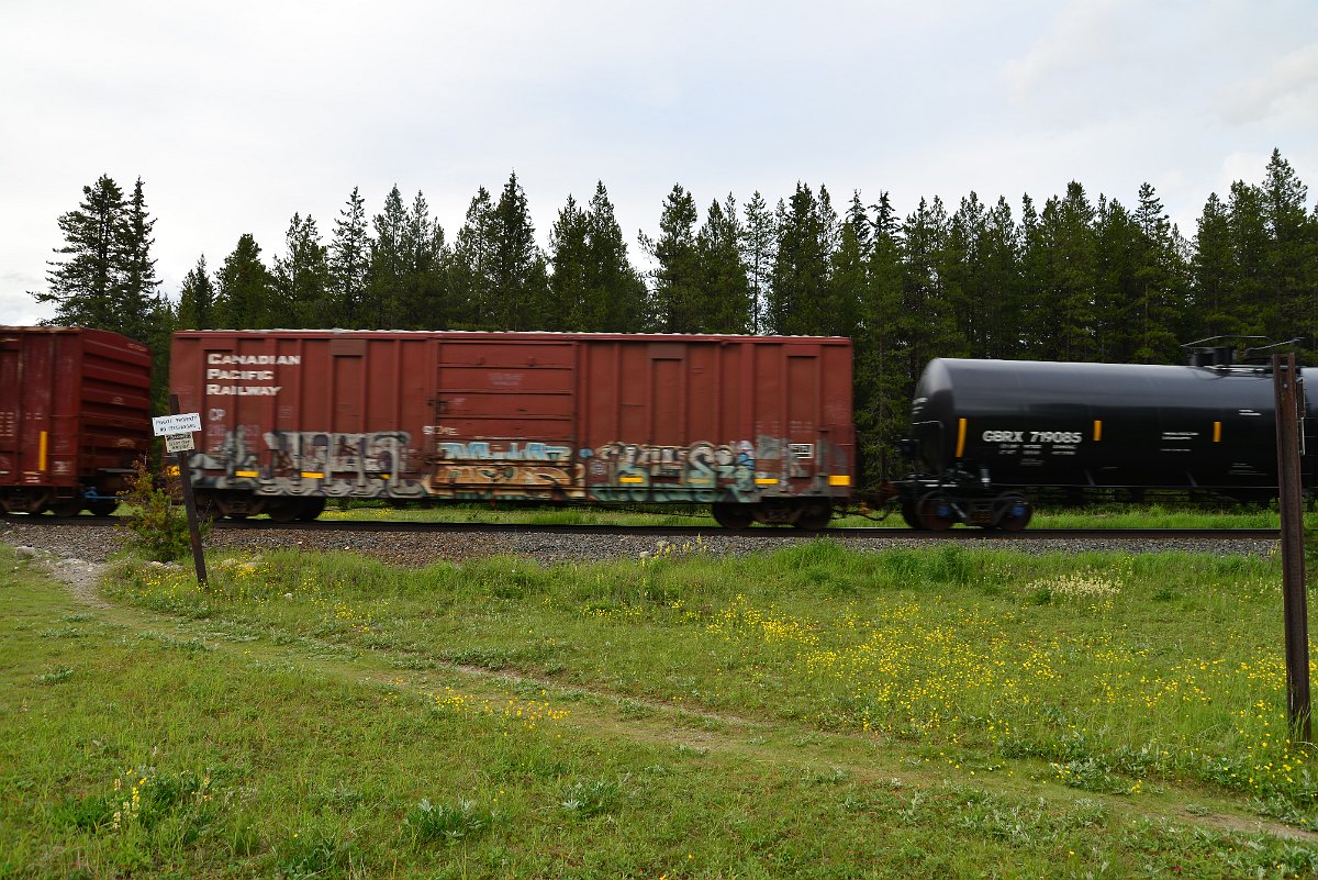 DSC_3041.JPG