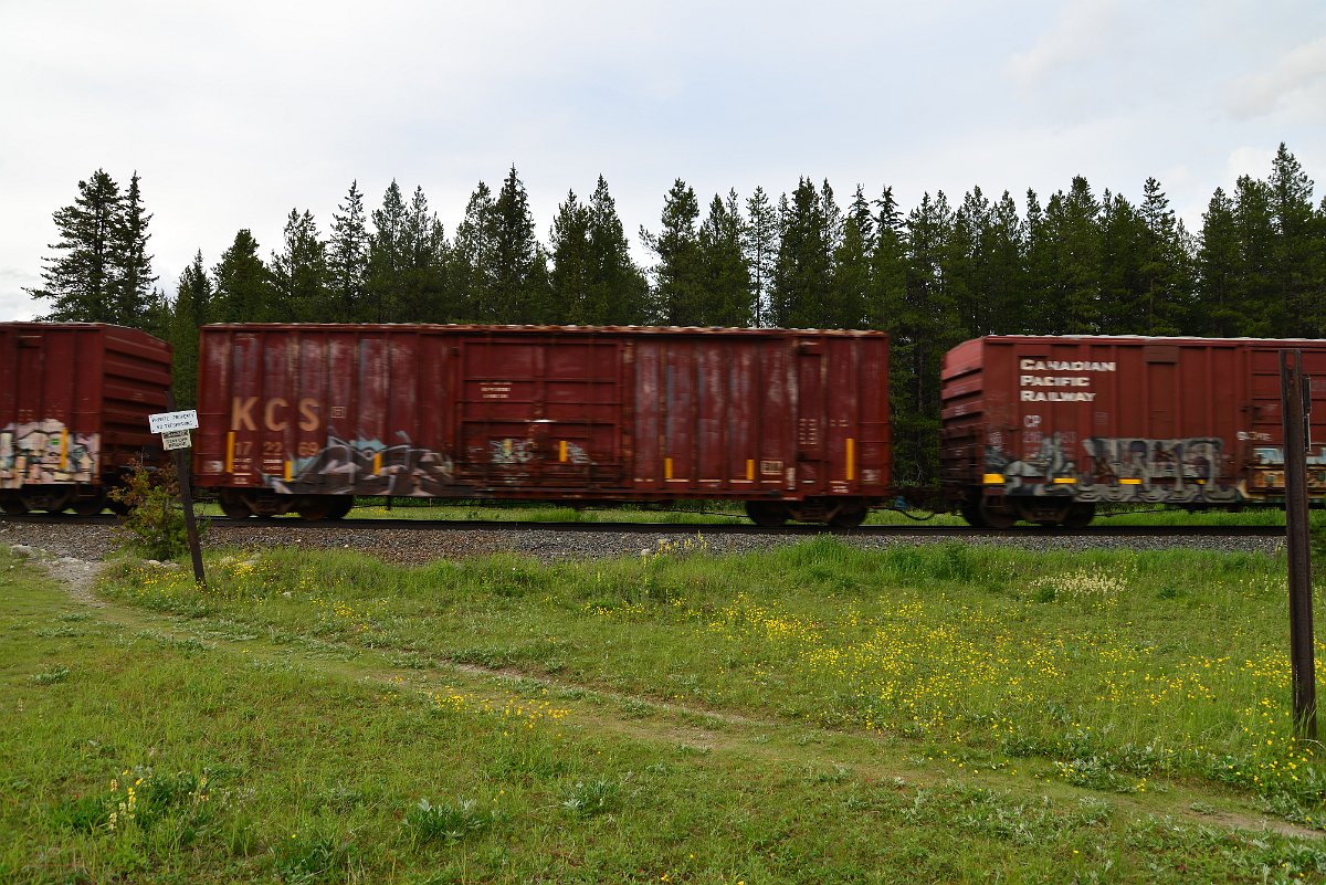DSC_3042.JPG