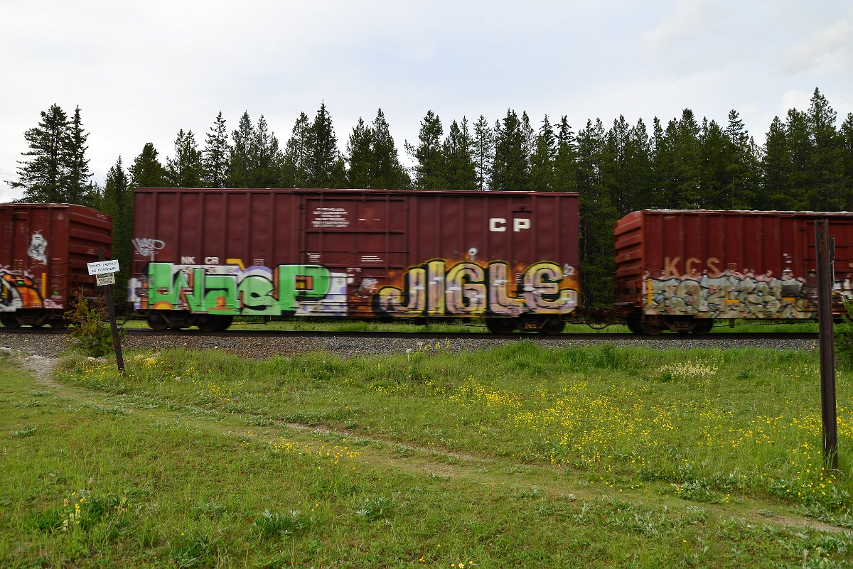 DSC_3044.JPG