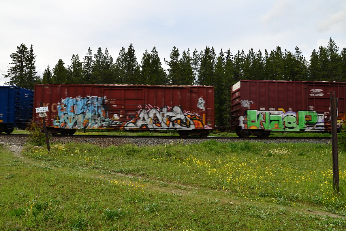 DSC_3045.JPG