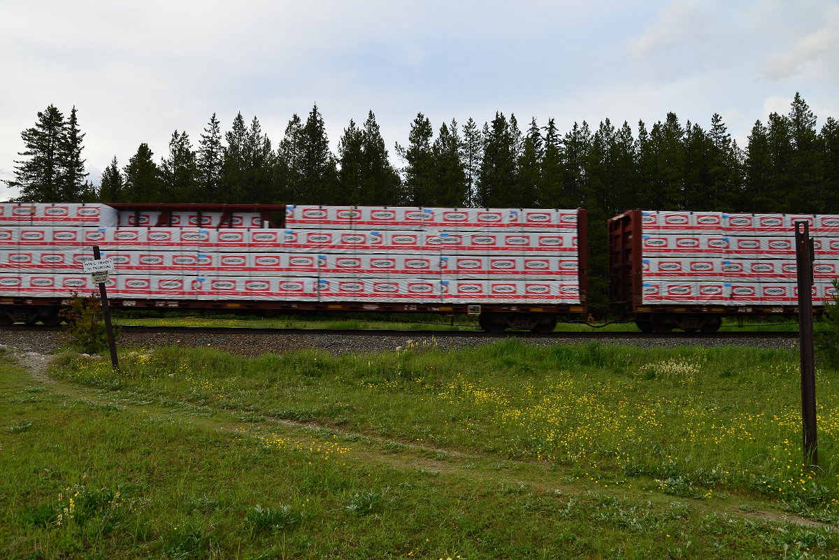 DSC_3048.JPG