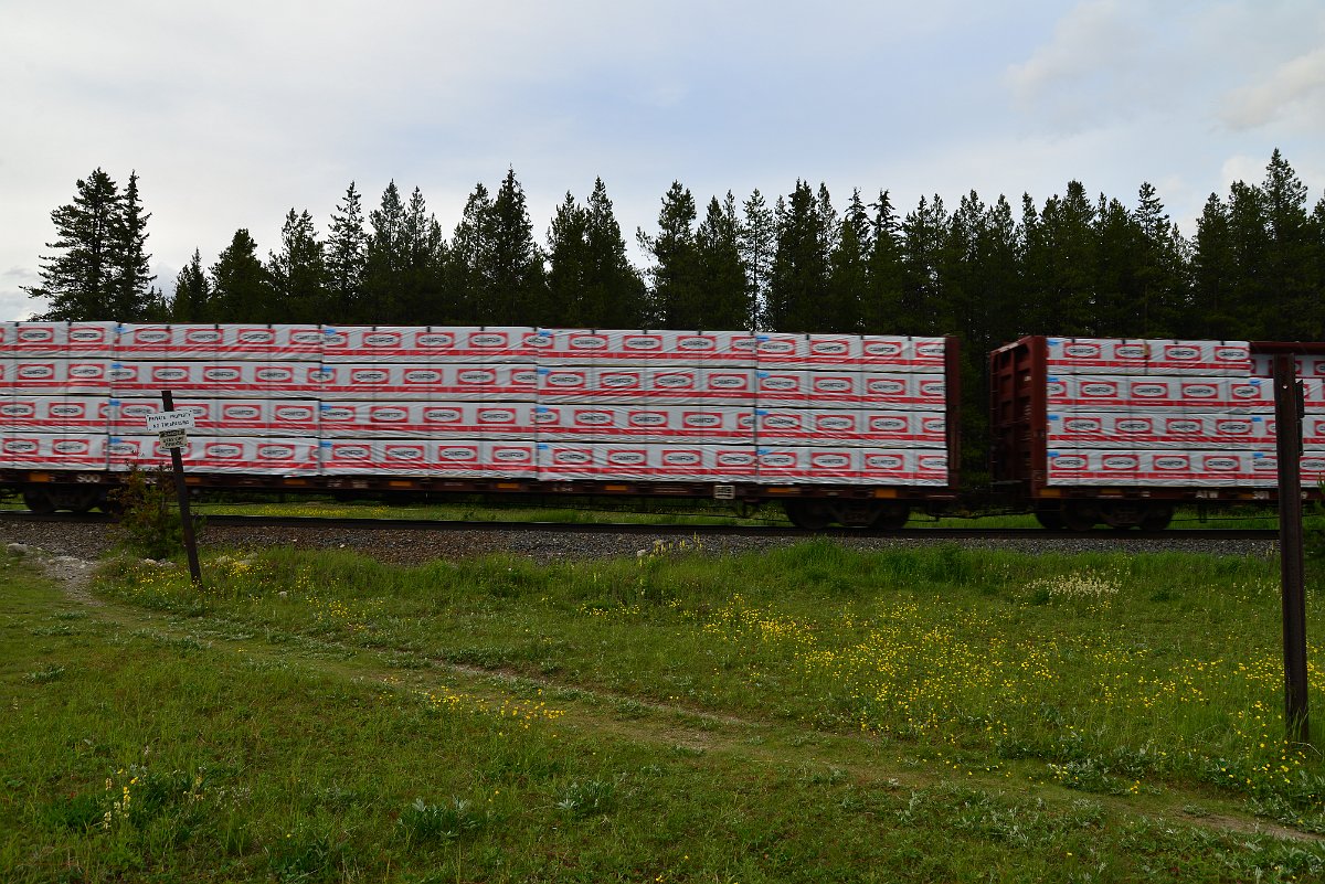 DSC_3049.JPG