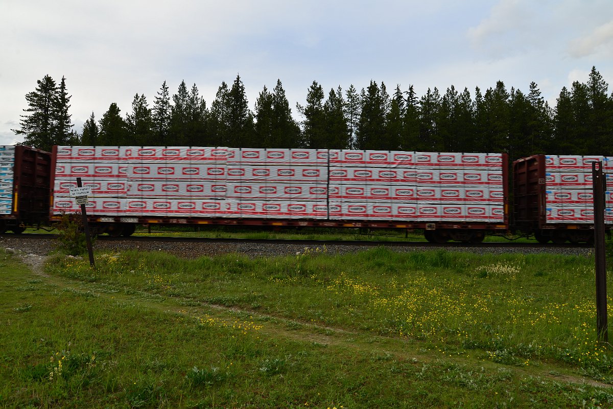 DSC_3050.JPG