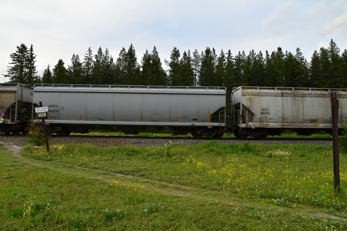 DSC_3058.JPG