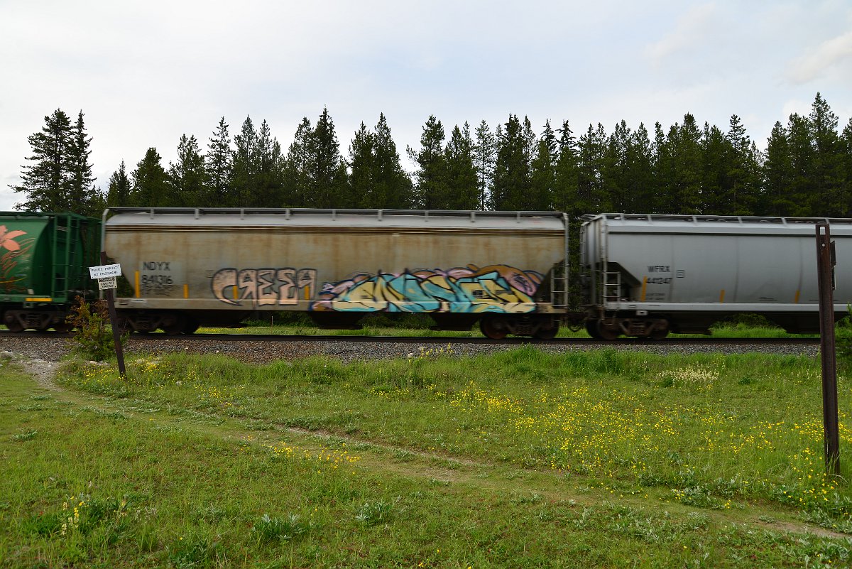 DSC_3059.JPG
