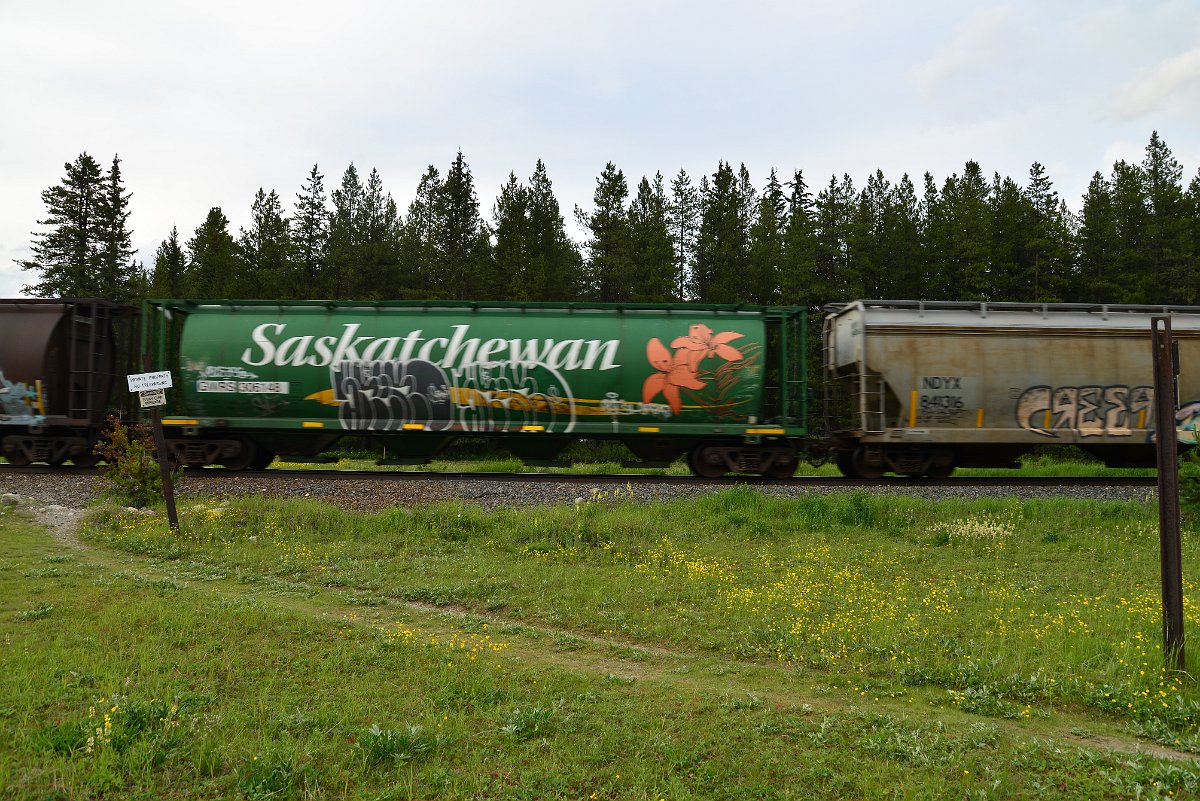 DSC_3060.JPG