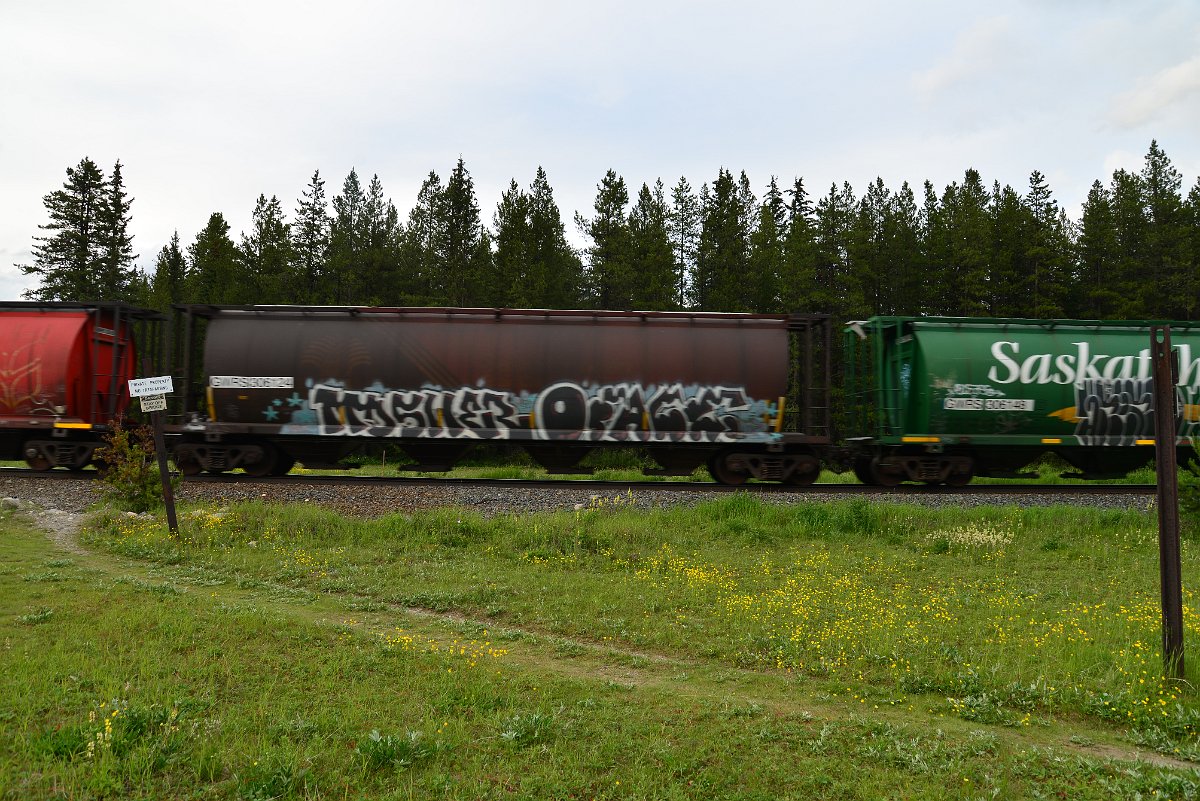 DSC_3061.JPG