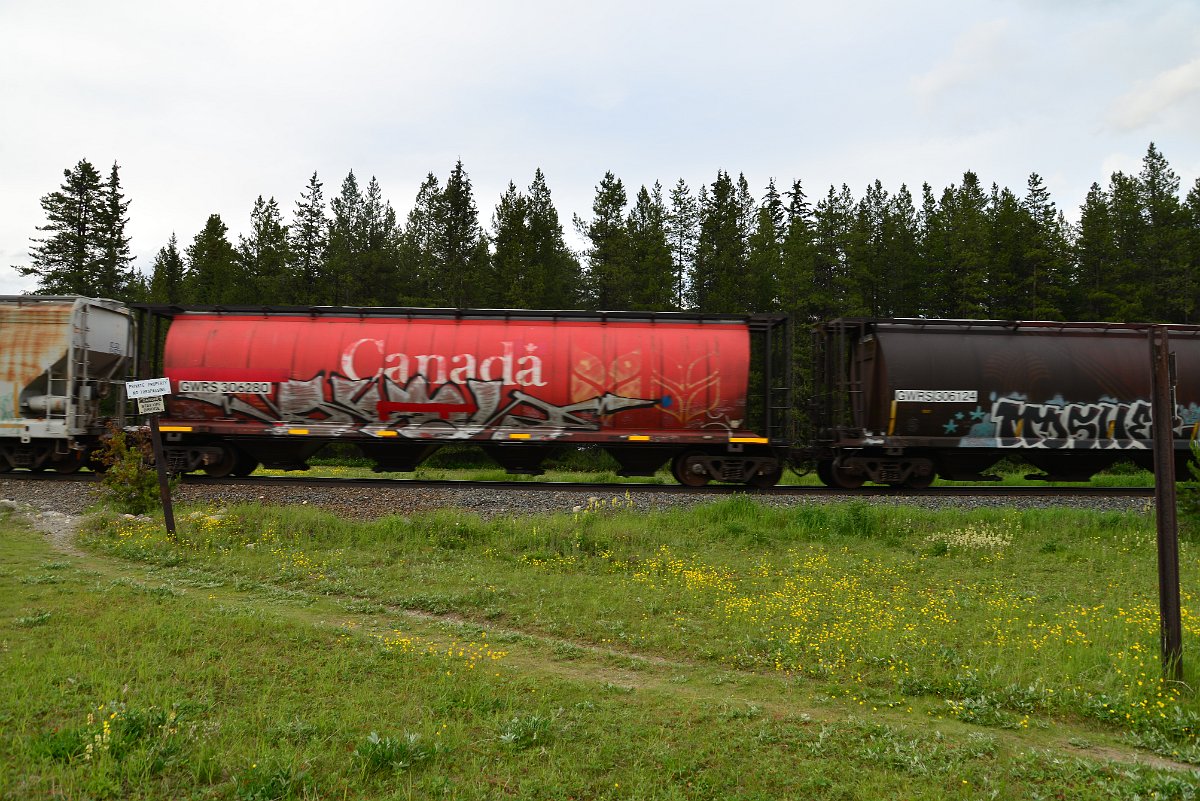 DSC_3062.JPG