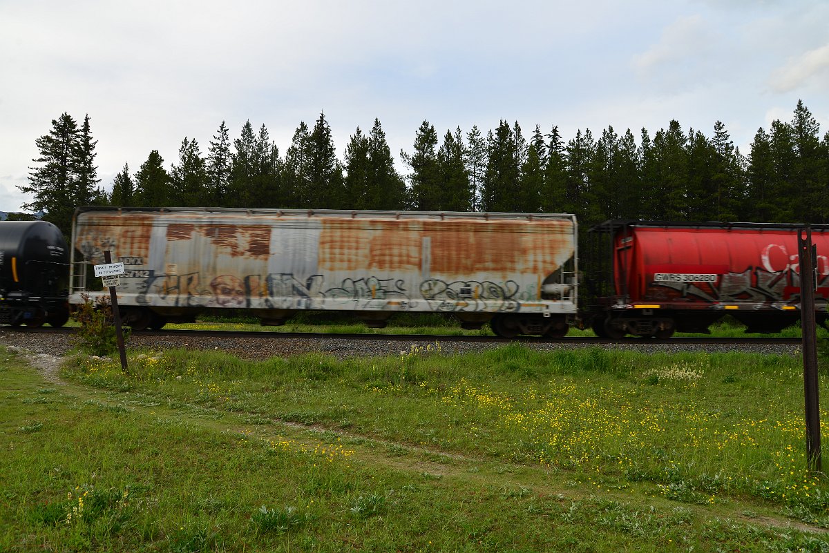 DSC_3063.JPG