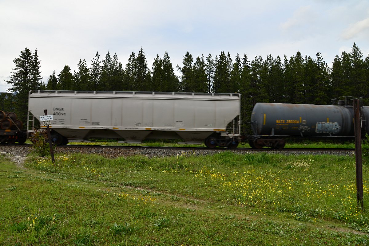 DSC_3066.JPG