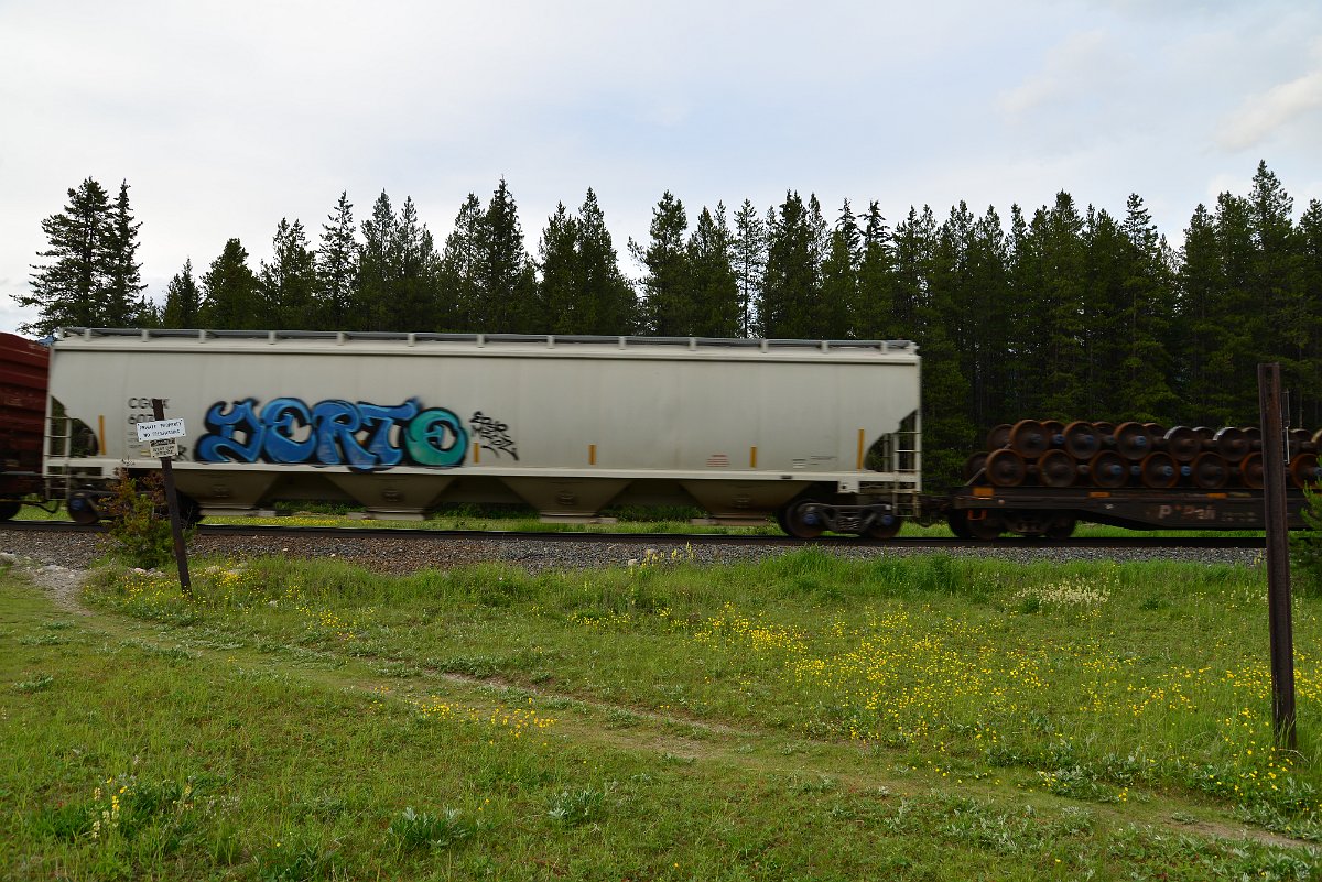 DSC_3068.JPG
