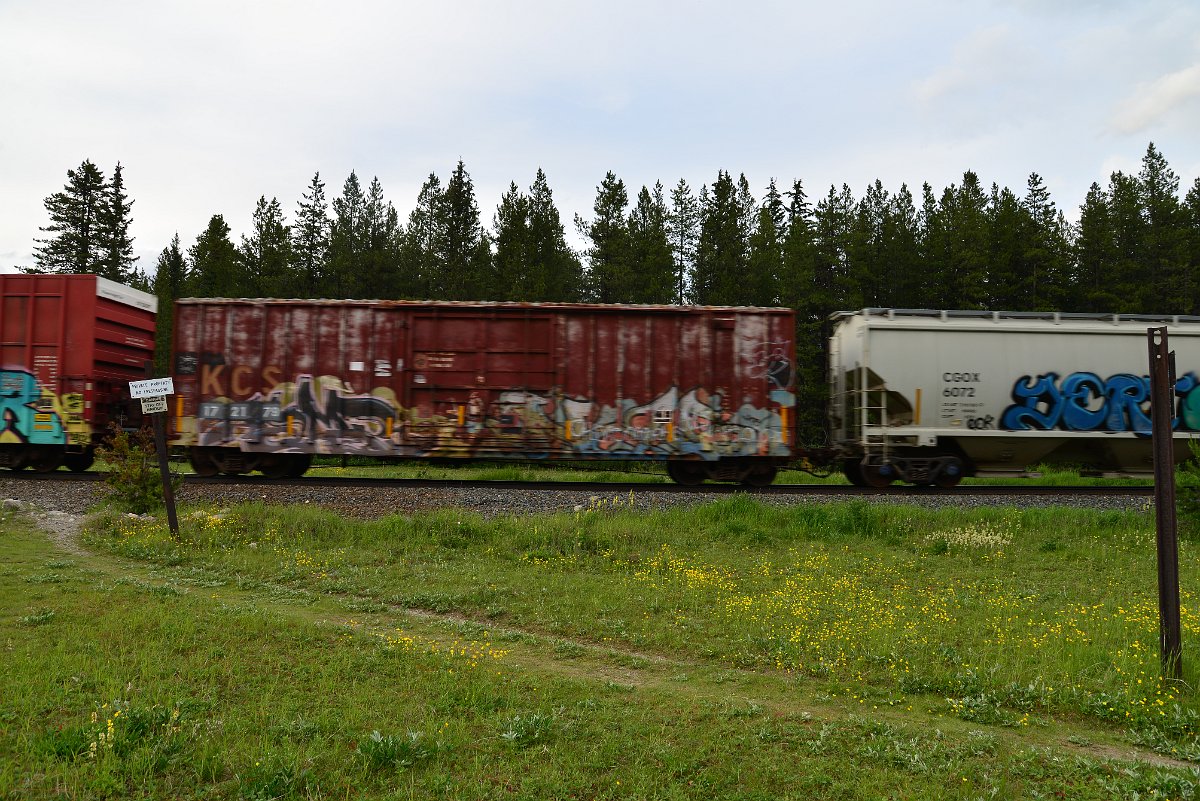 DSC_3069.JPG