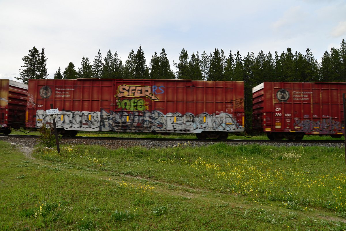 DSC_3074.JPG