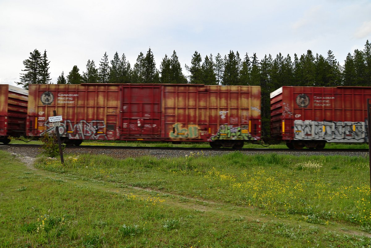 DSC_3075.JPG