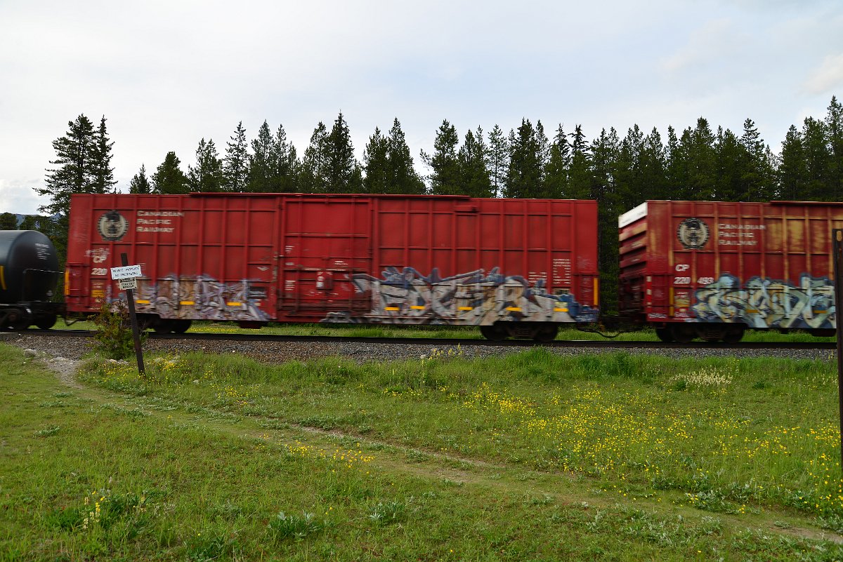 DSC_3077.JPG