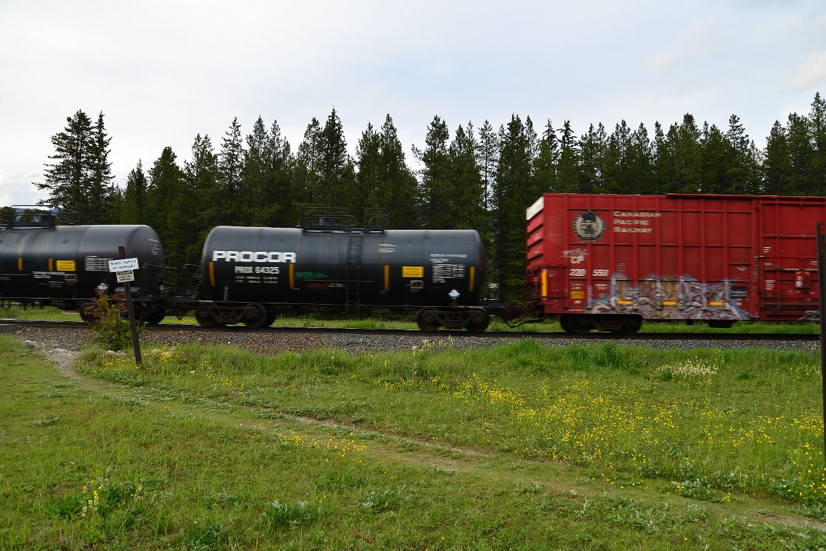 DSC_3078.JPG