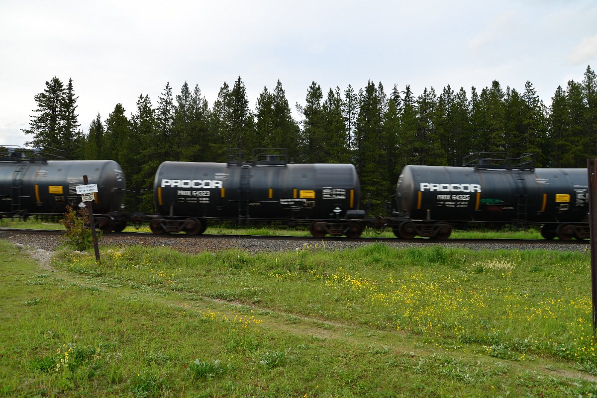 DSC_3079.JPG