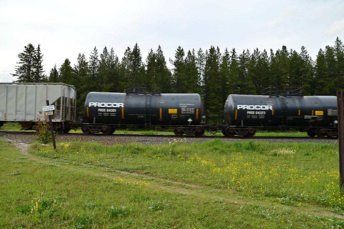 DSC_3080.JPG