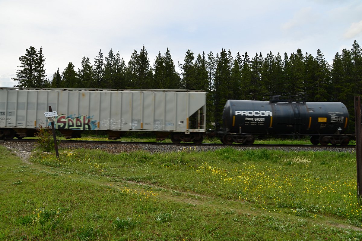 DSC_3081.JPG