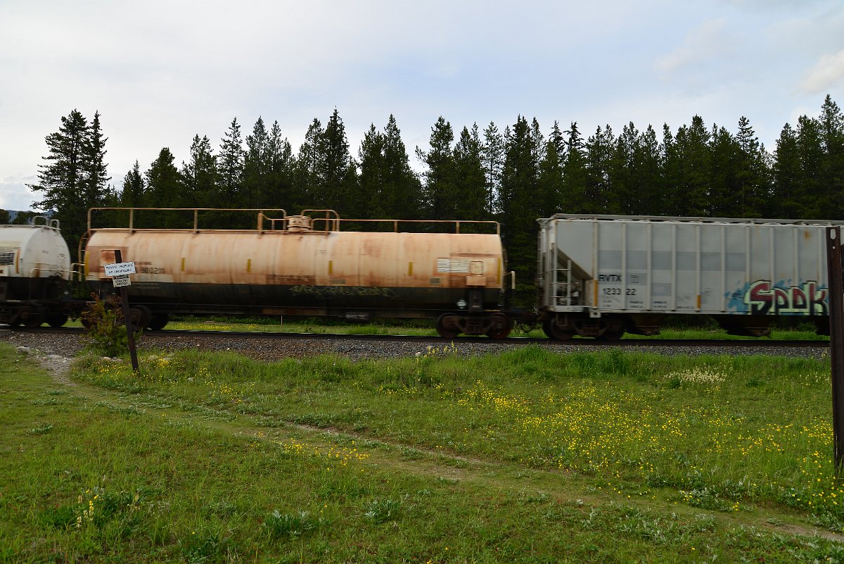 DSC_3082.JPG