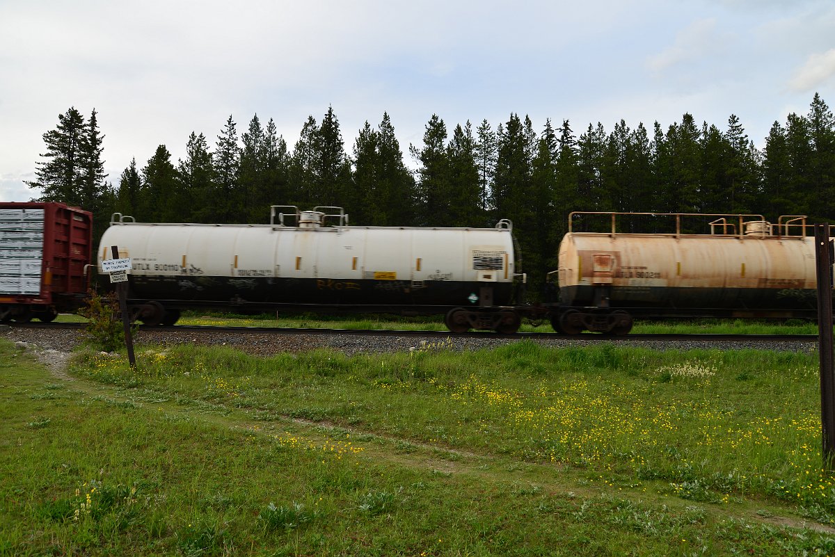 DSC_3083.JPG