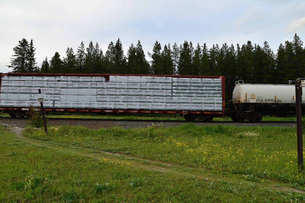 DSC_3084.JPG