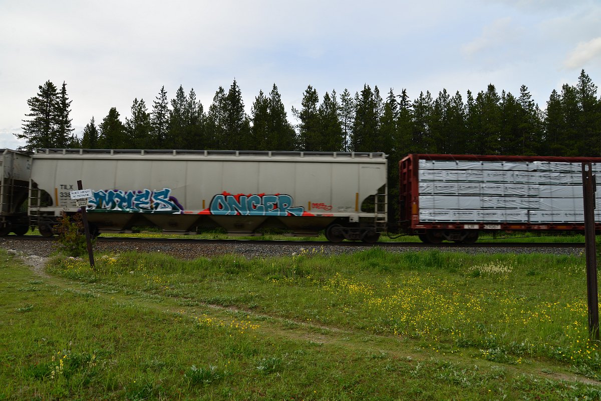 DSC_3085.JPG