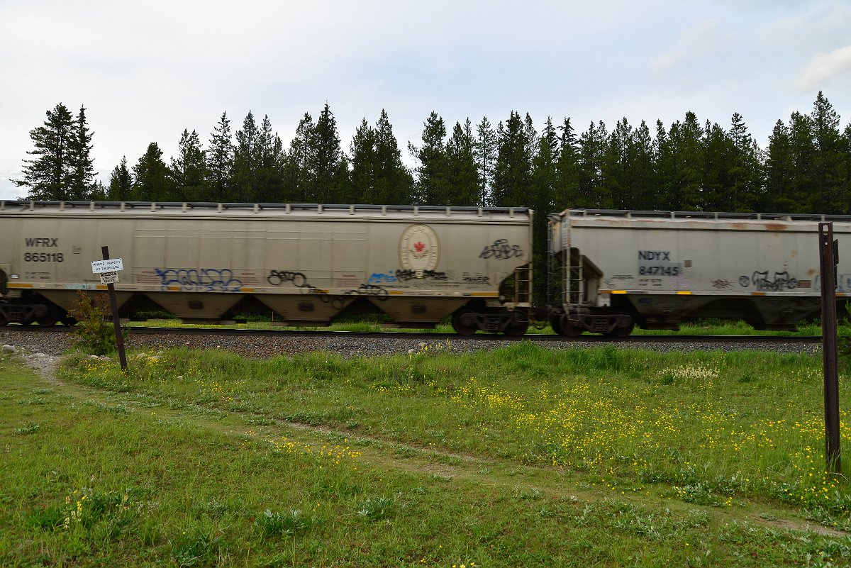 DSC_3089.JPG