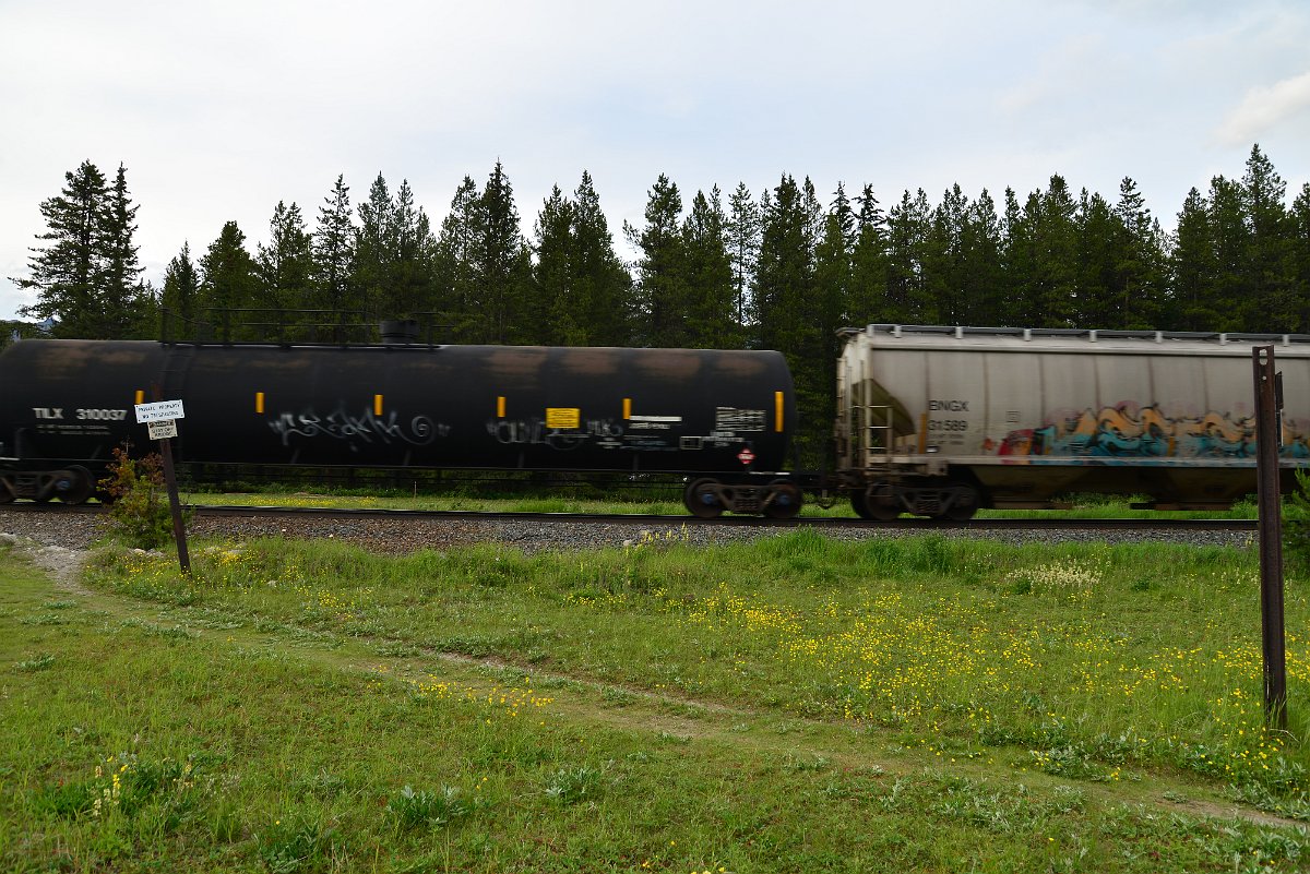 DSC_3091.JPG