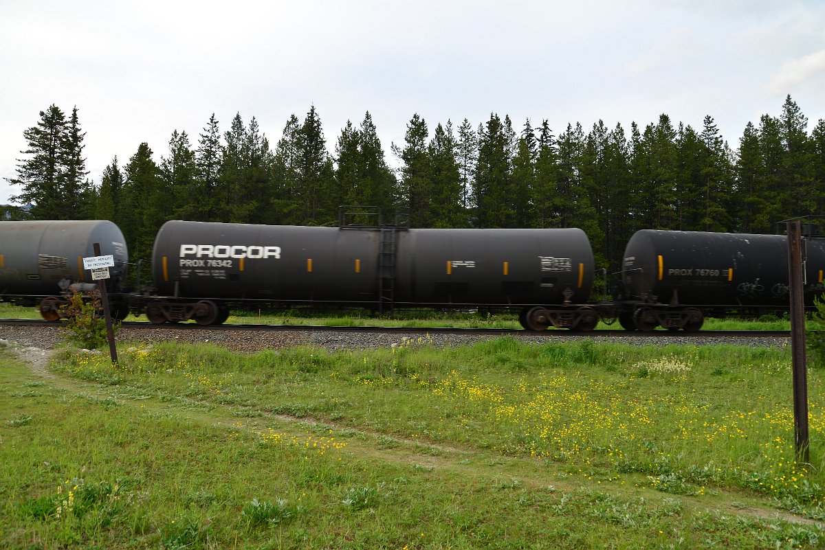 DSC_3093.JPG