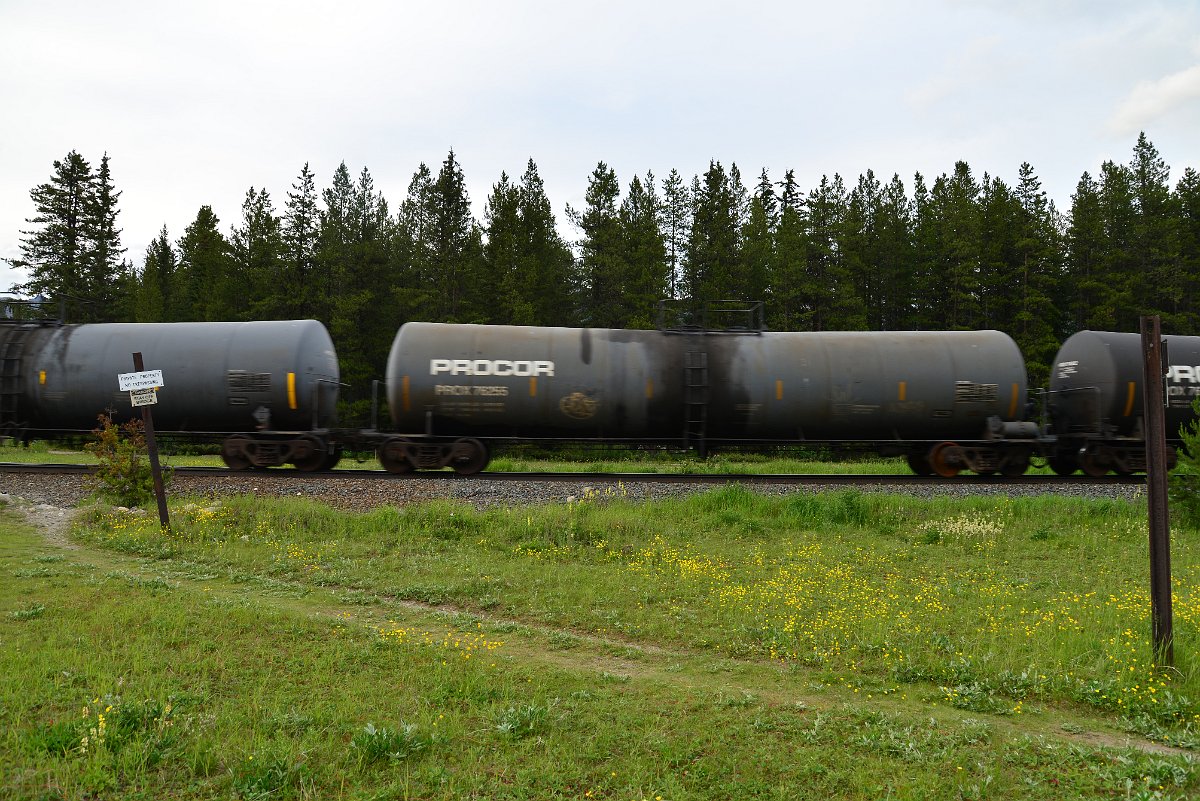 DSC_3094.JPG