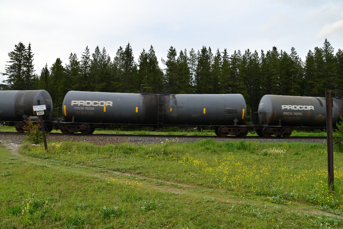 DSC_3095.JPG
