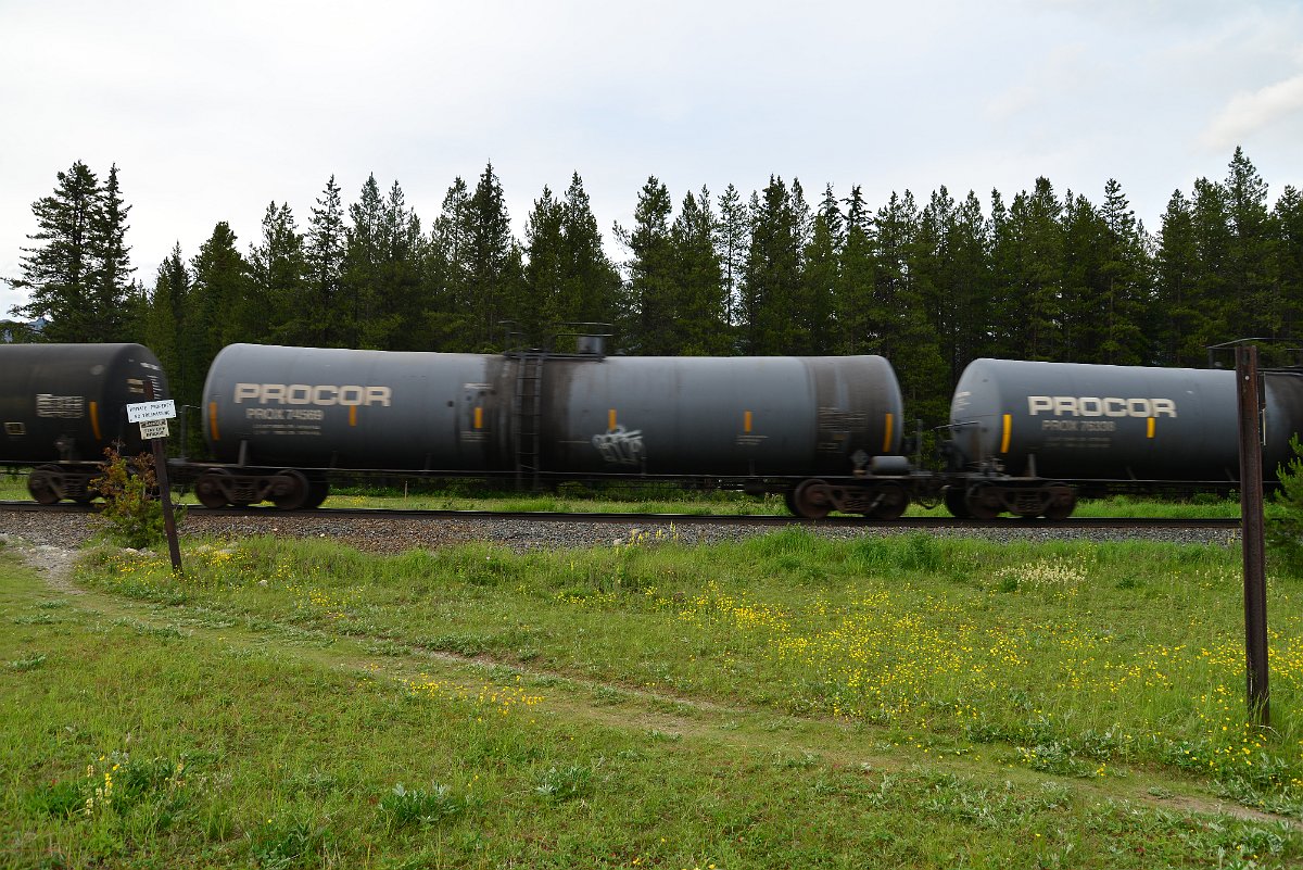 DSC_3096.JPG