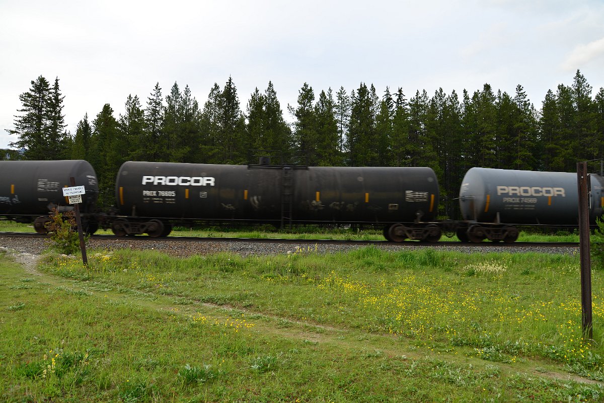 DSC_3097.JPG