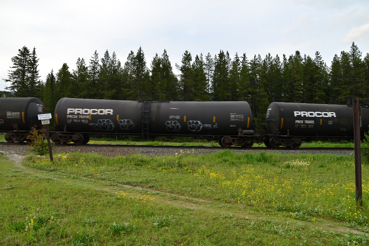 DSC_3098.JPG