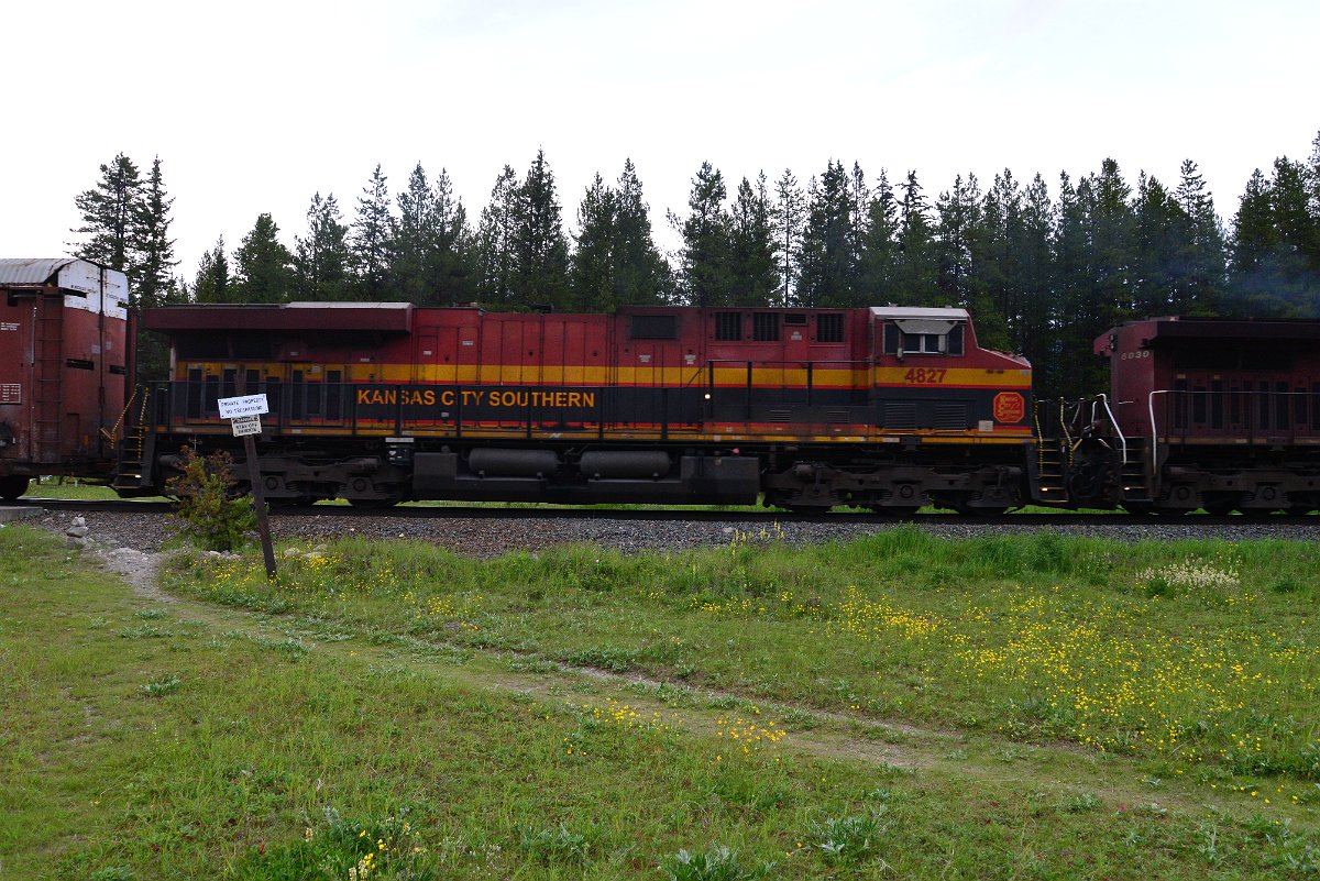 DSC_3104.JPG