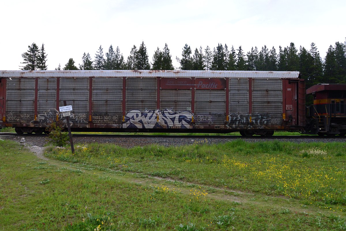 DSC_3105.JPG