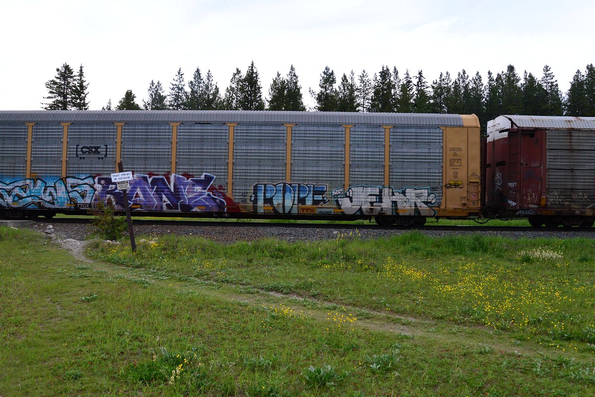 DSC_3106.JPG